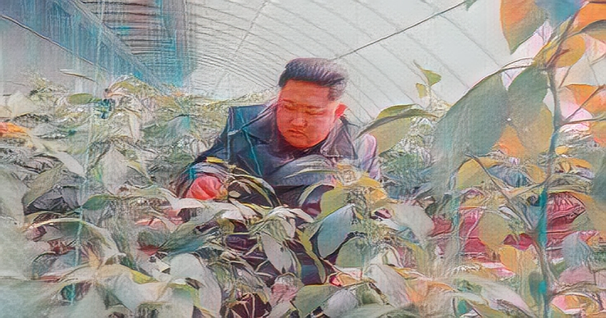 North Korea orders soldiers to plant, harvest crops