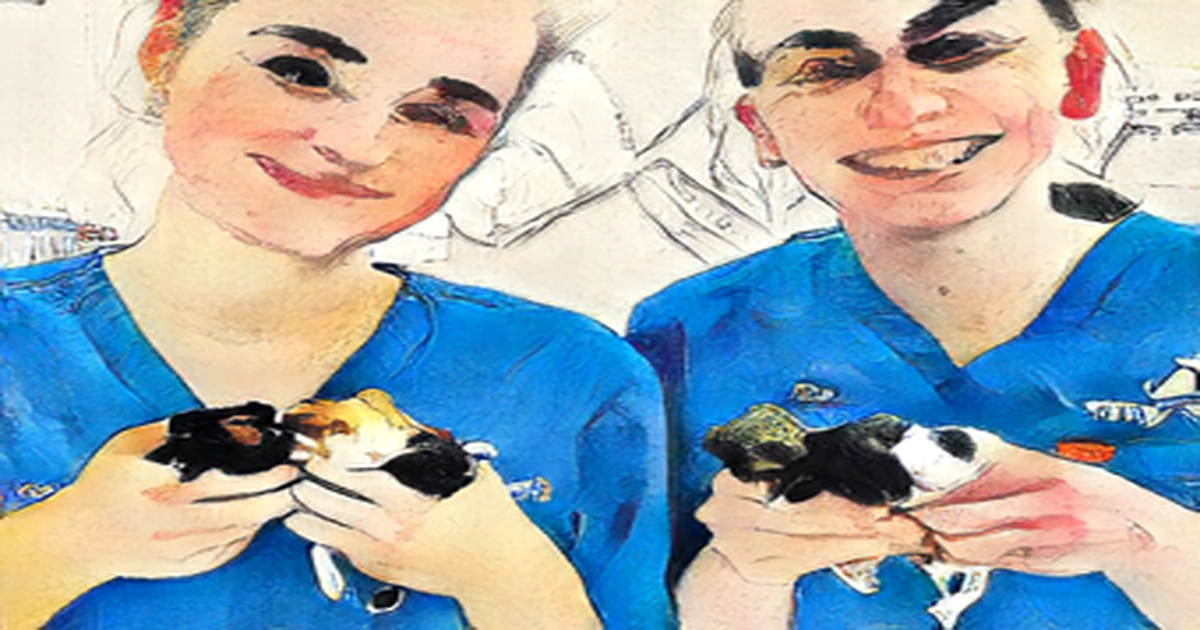Tiny guinea pig delivered six kits despite risk of surgery