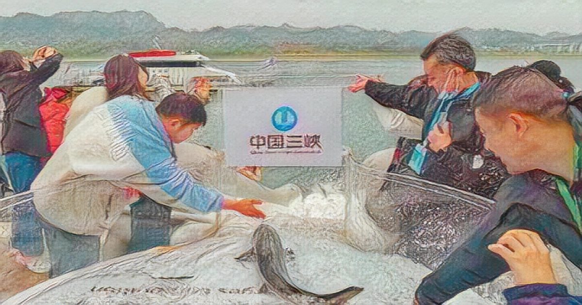 China to release 200,000 Chinese sturgeon into Yangtze River today