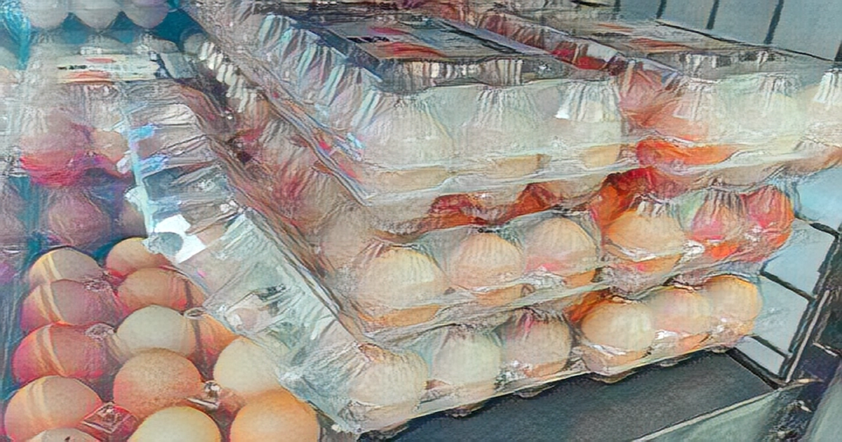 Bulgarian agency says laboratory examination of chicken eggs from Ukraine