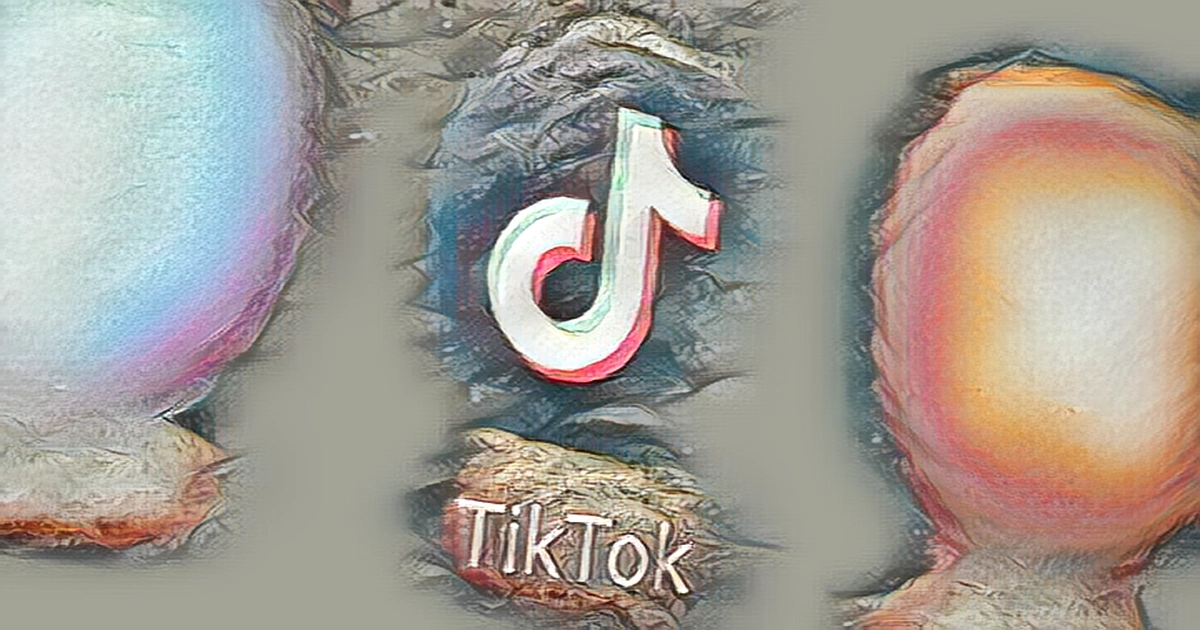 TikTok seeks to give U.S. regulators more oversight of its data handling