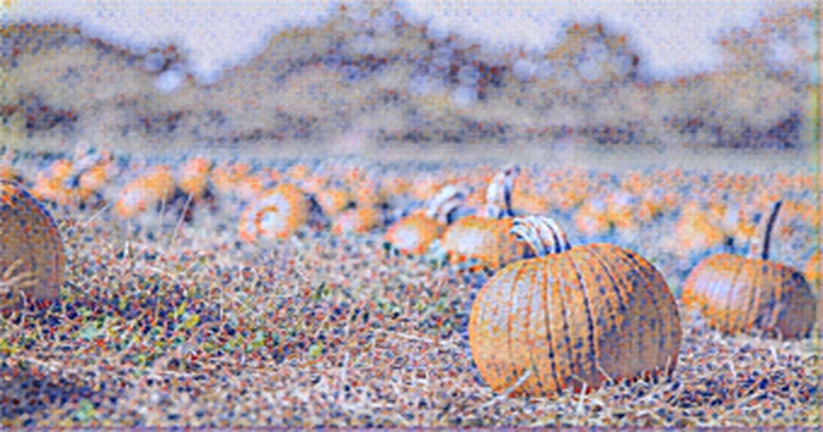 U.S. could be affected by pumpkin shortage because of weather, shipping issues