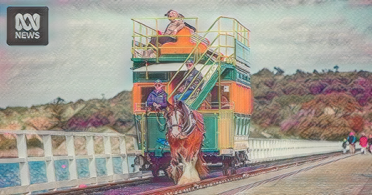 South Australia’s Horse-Drawn Tram Operator Mourns Loss of Clydesdale to Ross River Virus