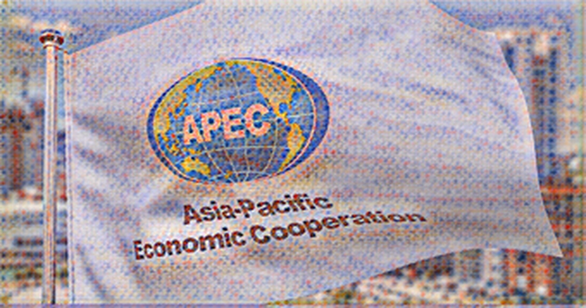 Finance Ministers meet in APEC to step up efforts to address COVID - 19