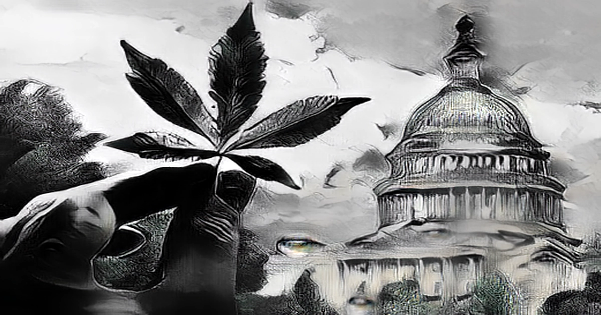 Why the White House has pardoned marijuana stocks