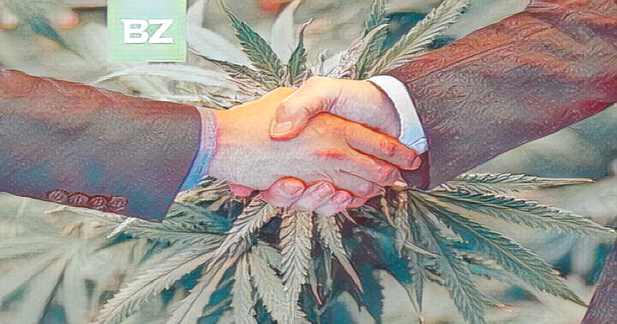 High Profile Cannabis partners with Canna Pharma