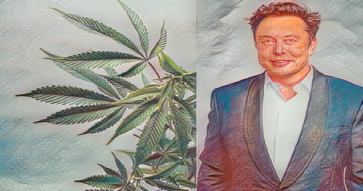 Elon Musk again calls for cannabis policy change