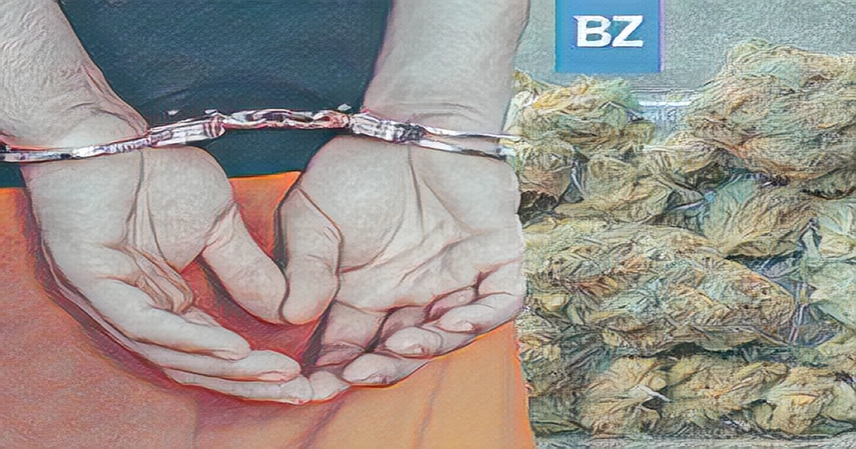 California-based marijuana group allegedly laundered thousands of pounds worth of marijuana