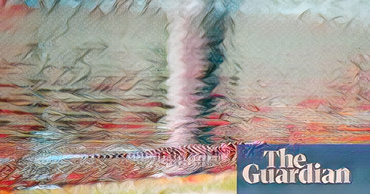 Florida man bitten by 9ft (3.2m) alligator at door