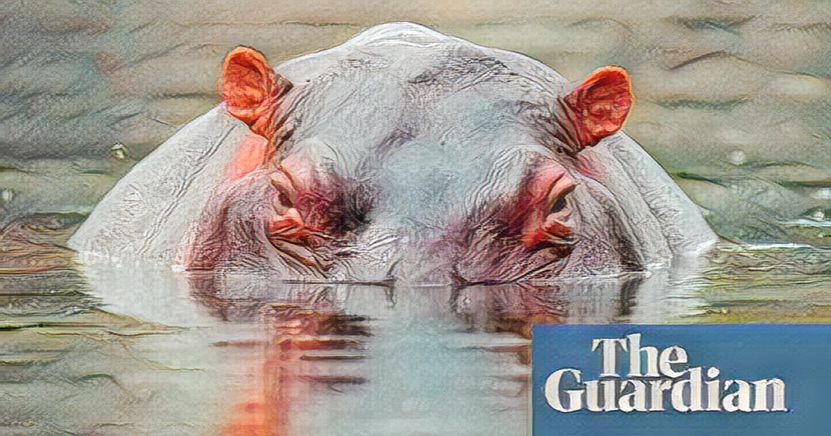 Colombia to transfer 70 hippos from drug lord's estate