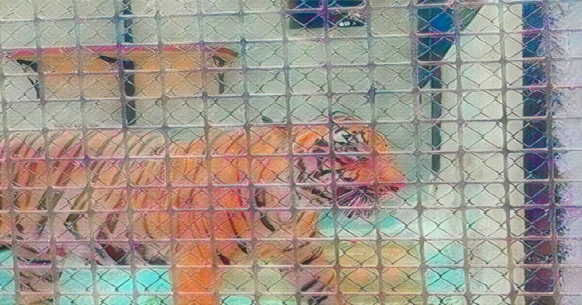 Alipore Zoo Combats Heatwave with Special Care for Animals