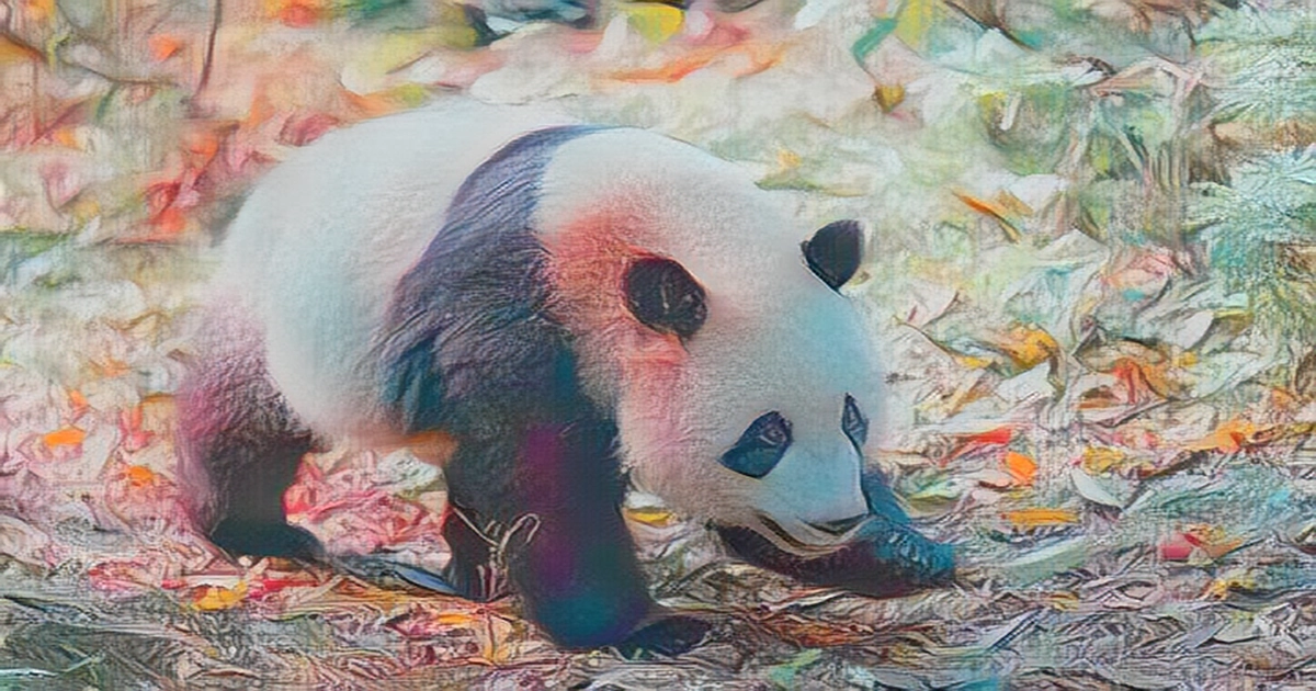 Giant panda Bao Xin, China's Sichuan province, dies of organ failure