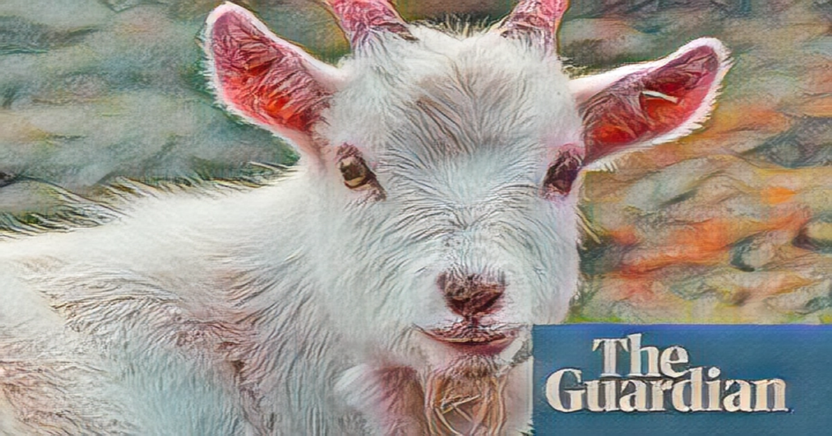 Former zoo director kills pygmy goats in Mexico